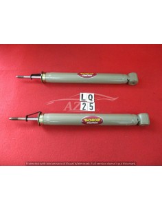 ammortizzatori e1020 coppia posteriore adatto a bmw serie 3 e46 -  Az Ricambi  Sei alla ricerca di ricambi per la tua auto d’...