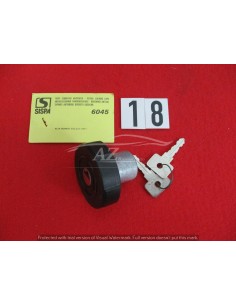 tappo serbatoio carburante 6045 per alfa romeo alfasud 80- -  Az Ricambi  Sei alla ricerca di ricambi per la tua auto d’epoca?