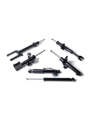 coppia ammortizzatori posteriori avomar fiat panda 83-04 650 800 900 950 -  Az Ricambi  Sei alla ricerca di ricambi per la tu...