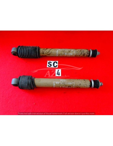 Ammortizzatori posteriori Renault R10 5602 coppia 