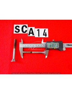 Bullone vite cromato per paraurti coppia lunghezza 83 2