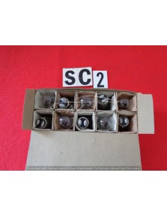 Lampadina 24V 21/5W 5541 set 10-pezzi