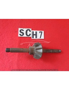 Girante pompa Fiat 850 2