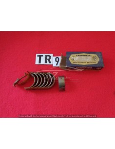 Bronzine Biella Vandervell Fiat 600 850 127 Autobianchi A-112 0,30 -  Az Ricambi  Sei alla ricerca di ricambi per la tua auto...