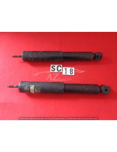 Ammortizzatori Monroe coppia posteriori Fiat 124
