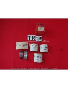 Bronzine Biella Glyco Austin 1300 01-2820/4 0,20