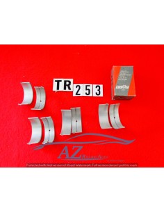 Bronzine biella Fiat Ducato 5522435