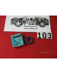 Paraolio anello di tenuta 21,9-40-8