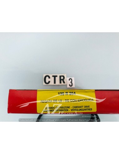Cinghia distribuzione Fiat Regata 1.9 139R254