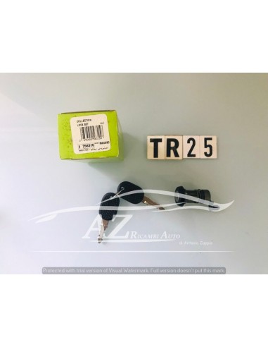 Blocchetto serratura posteriore Fiat Regata 256302