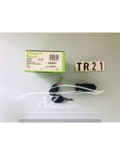 Blocchetto cilindretto posteriore Fiat Ritmo 256301