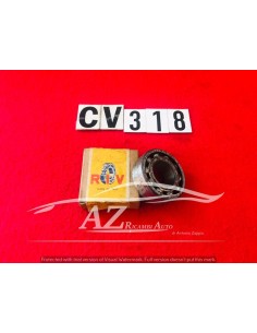 Cuscinetto Riv 2AA 4205 25x18x52