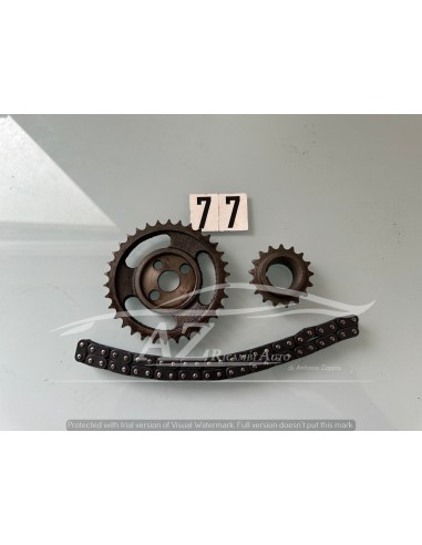 Catena distribuzione Ford Fiesta 25 maglie