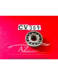 Cuscinetto Riv 73x25,48x30,89