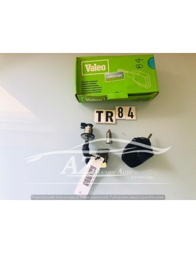 Cilindretto porte baule Citroen ZX 252052