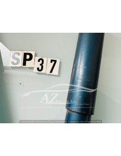 Ammortizzatori posteriori Renault R12 Smora 2