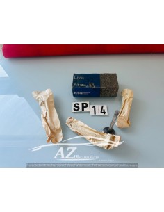 Valvole aspirazione Livia Fiat 9424 4 pezzi -  Az Ricambi  Sei alla ricerca di ricambi per la tua auto d’epoca?