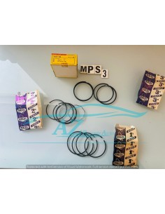 Fasce elastiche Fiat 124 diametro 73 STD