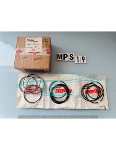 Fasce elastiche Fiat 124 1900956 STD