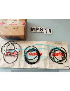 Fasce elastiche Fiat 124 1900956 STD 2