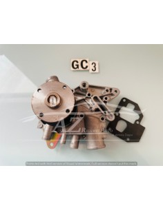 Pompa acqua Renault R4 R5 R6 PA14