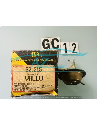 Correttore di pressione Polmoncino Citroen...