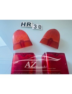 Plastica fanale posteriore Fiat 1100 103 coppia 2