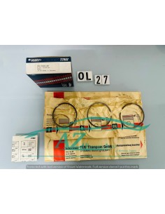 Fasce elastiche Opel 03 2950 00 diam. 79 2495