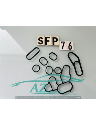 Guarnizione scambiatore di calore Radiatore...